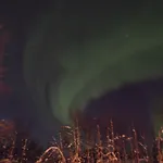Aamukka A&b *