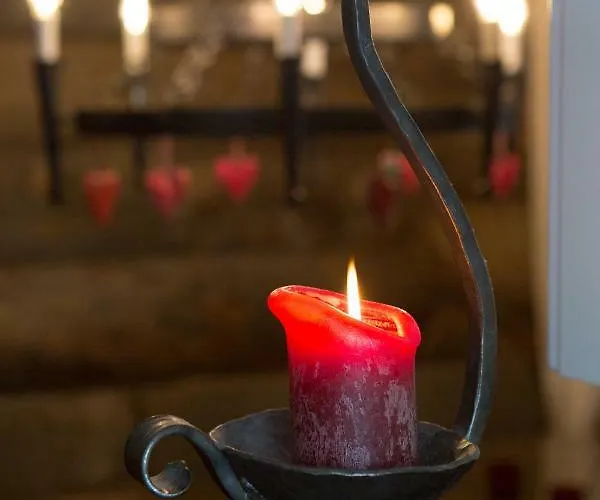 Aamukka A&b * 列维